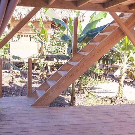 Samana Ecolodge El Limon Kültér fotó