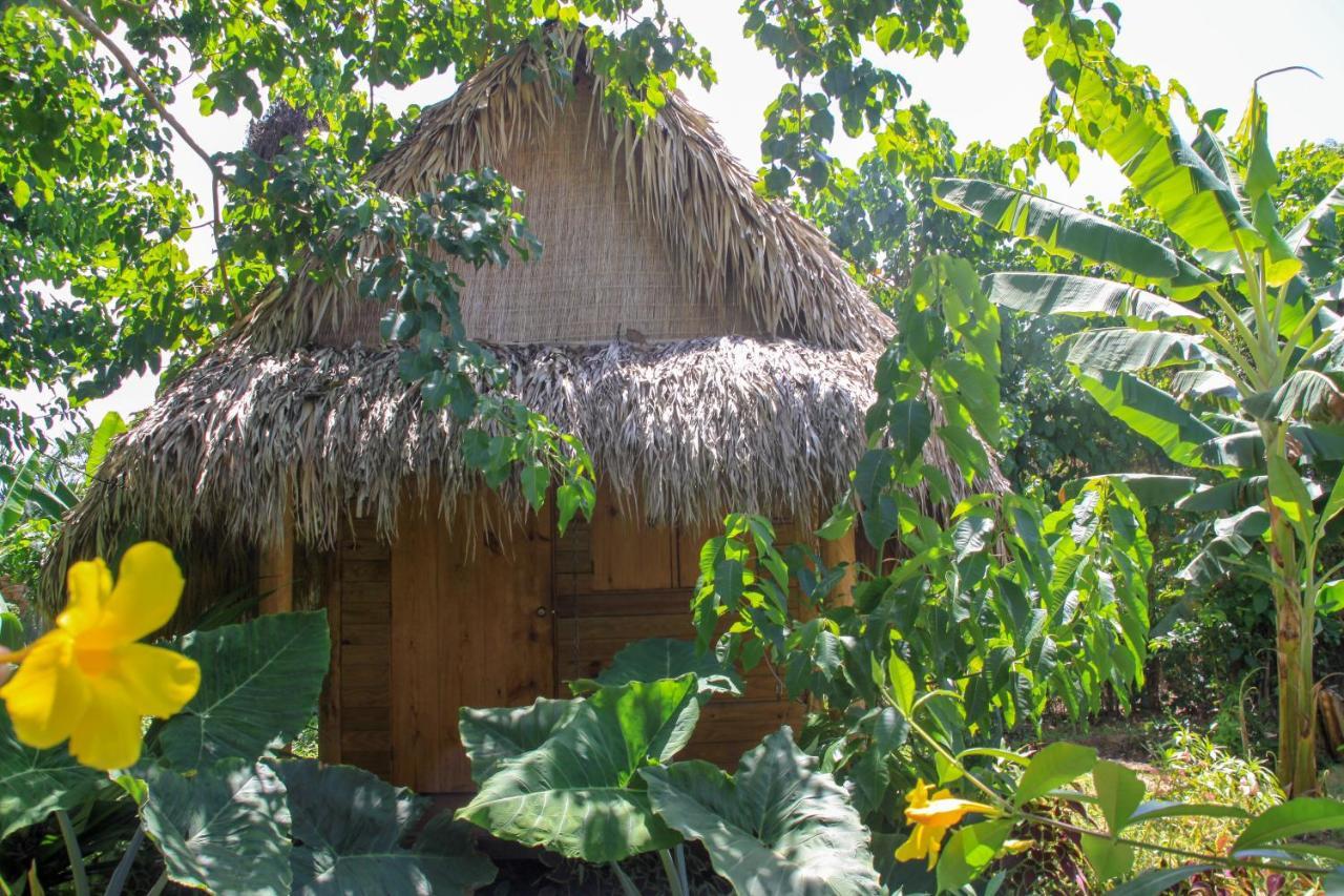 Samana Ecolodge El Limon Kültér fotó