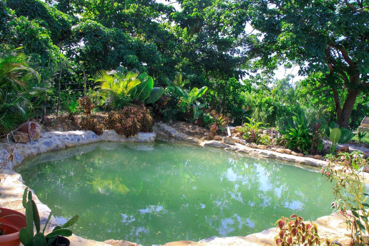 Samana Ecolodge El Limon Kültér fotó