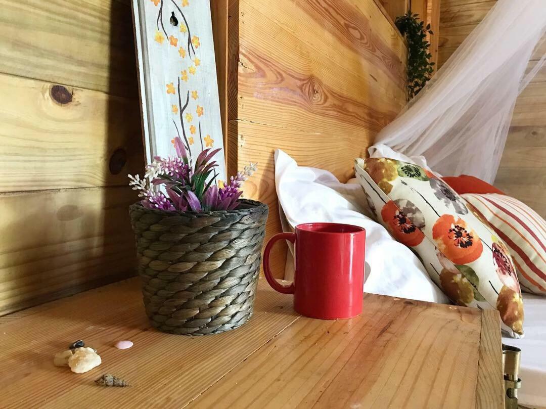 Samana Ecolodge El Limon Kültér fotó