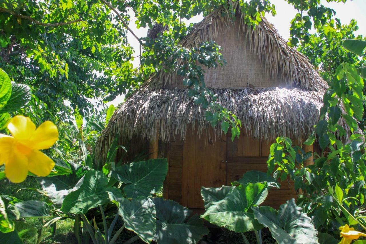 Samana Ecolodge El Limon Kültér fotó