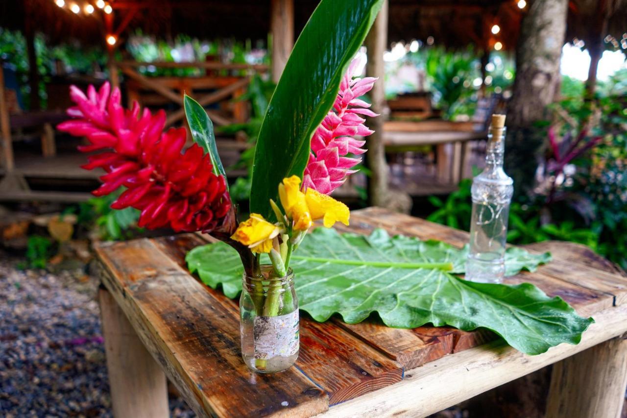 Samana Ecolodge El Limon Kültér fotó
