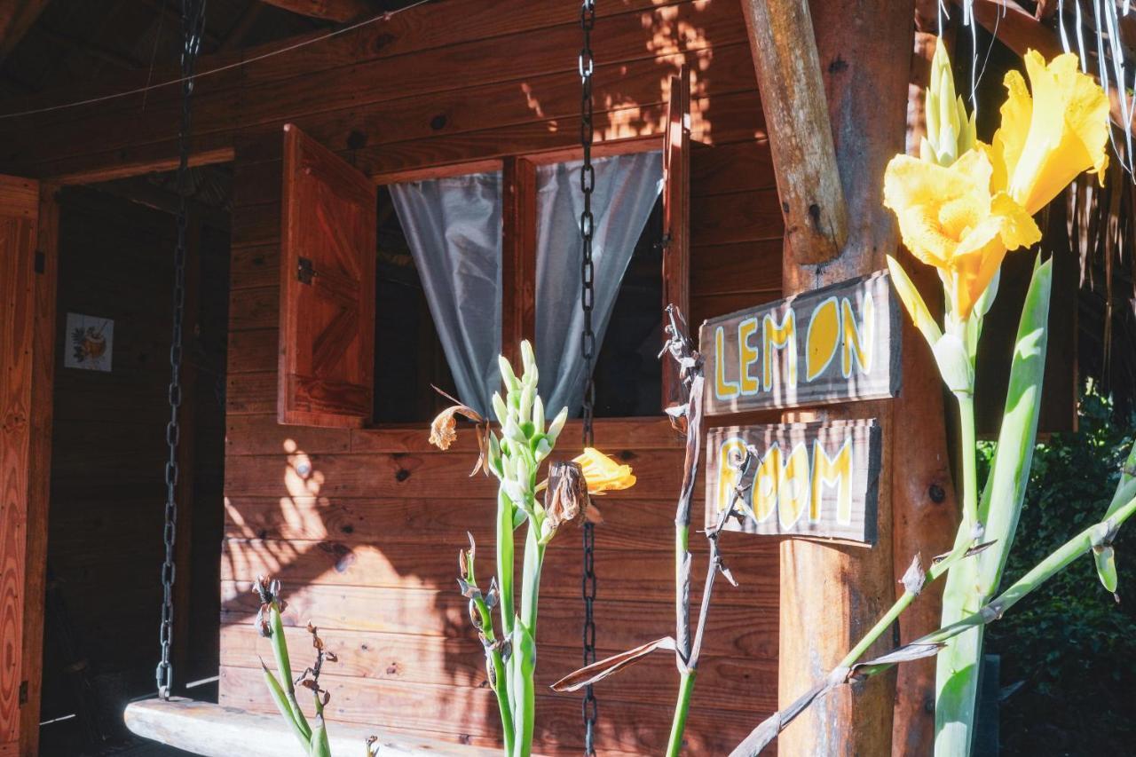 Samana Ecolodge El Limon Kültér fotó