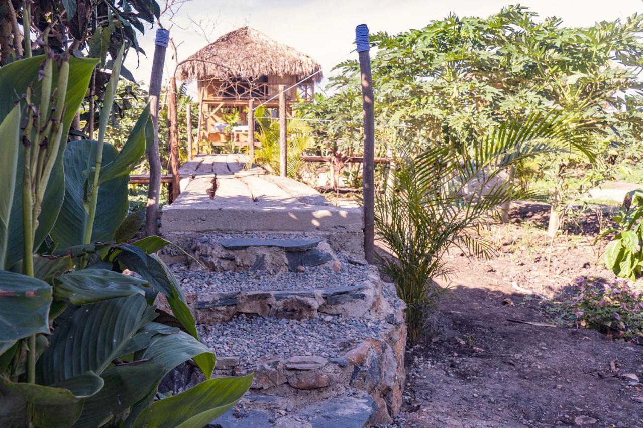 Samana Ecolodge El Limon Kültér fotó