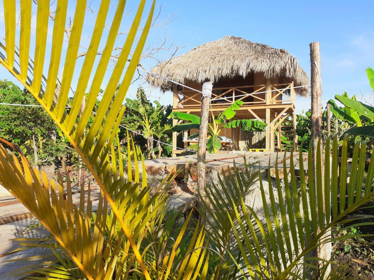 Samana Ecolodge El Limon Kültér fotó