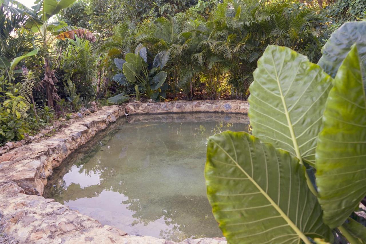 Samana Ecolodge El Limon Kültér fotó