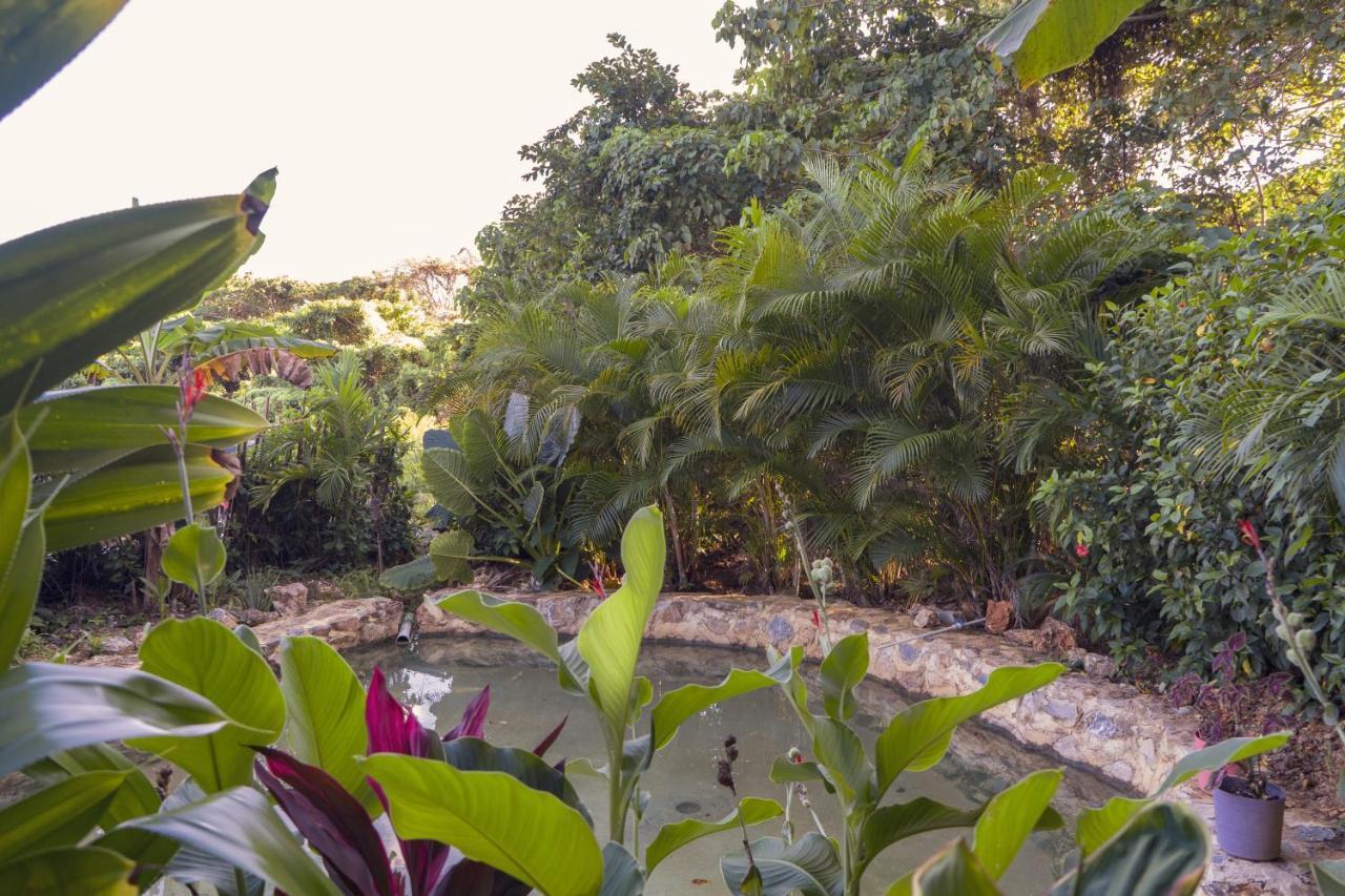 Samana Ecolodge El Limon Kültér fotó